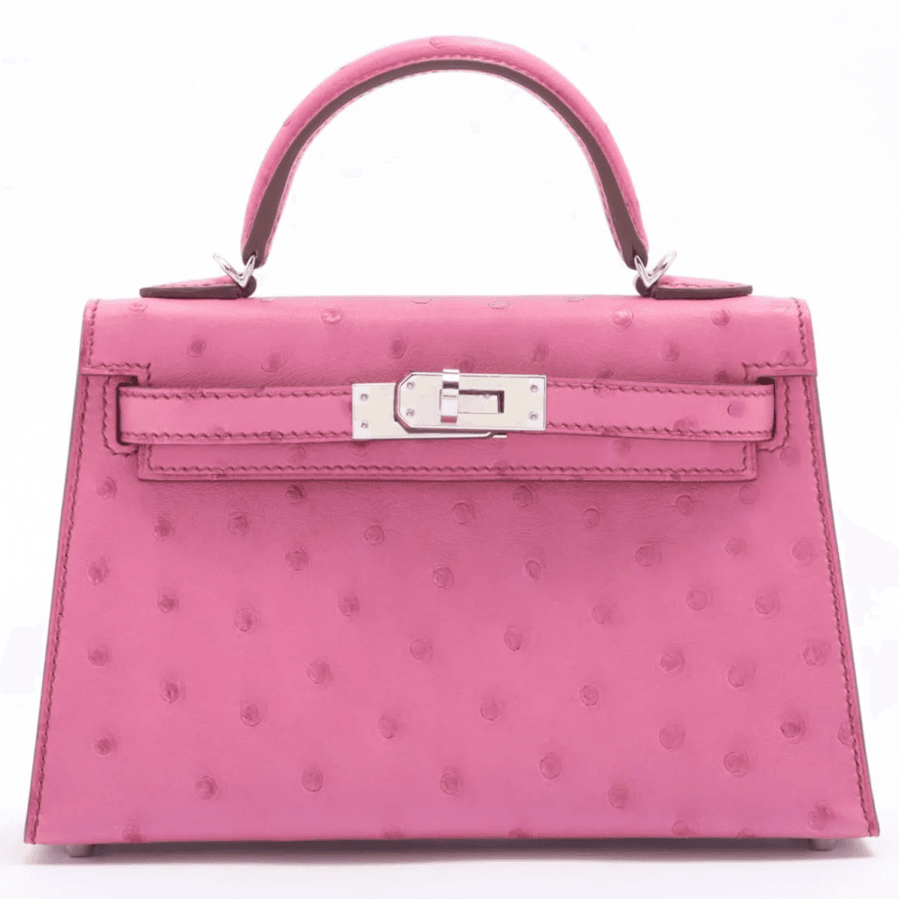 Hermès Mini Kelly