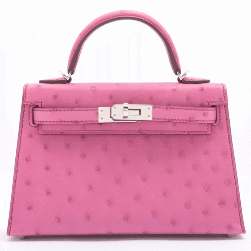 Hermès Mini Kelly