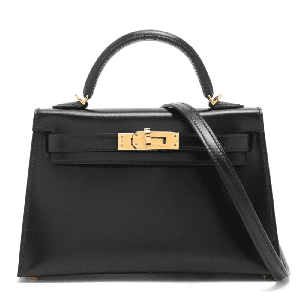 Hermès Mini Kelly