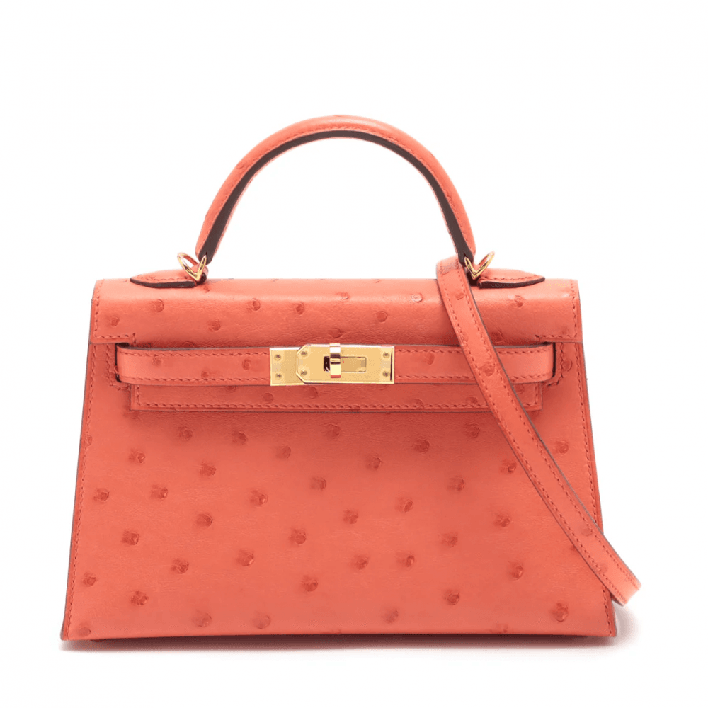 Hermès Mini Kelly