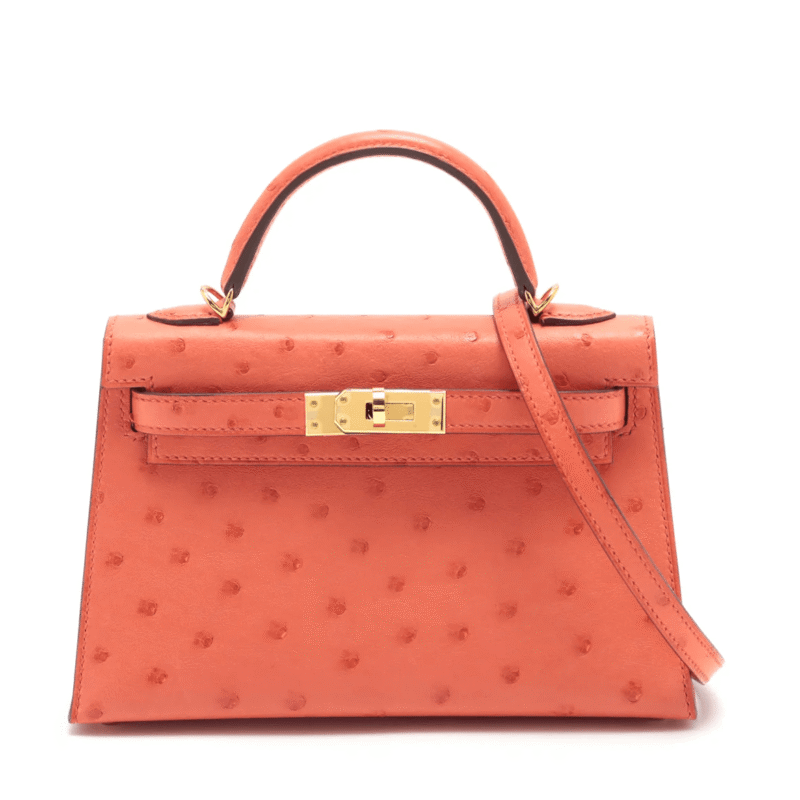 Hermès Mini Kelly
