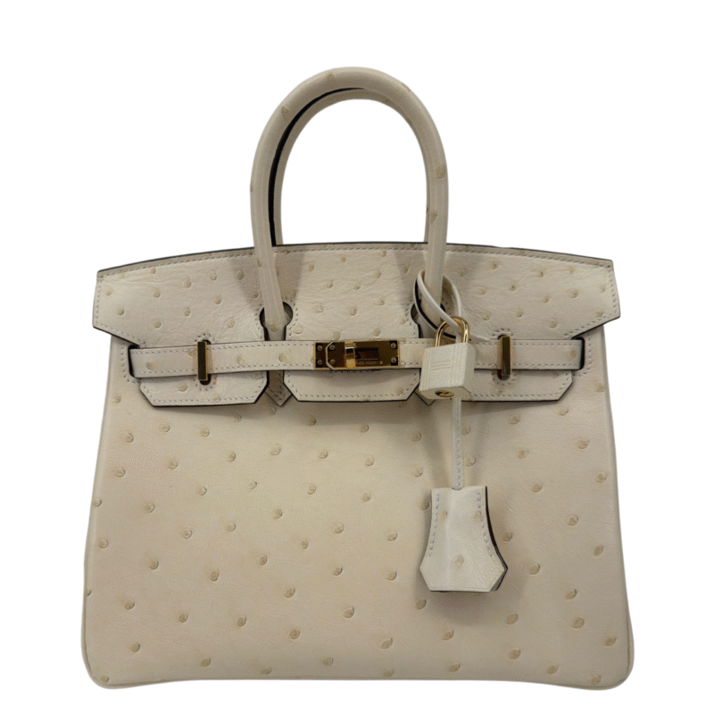 Hermès Birkin 25
