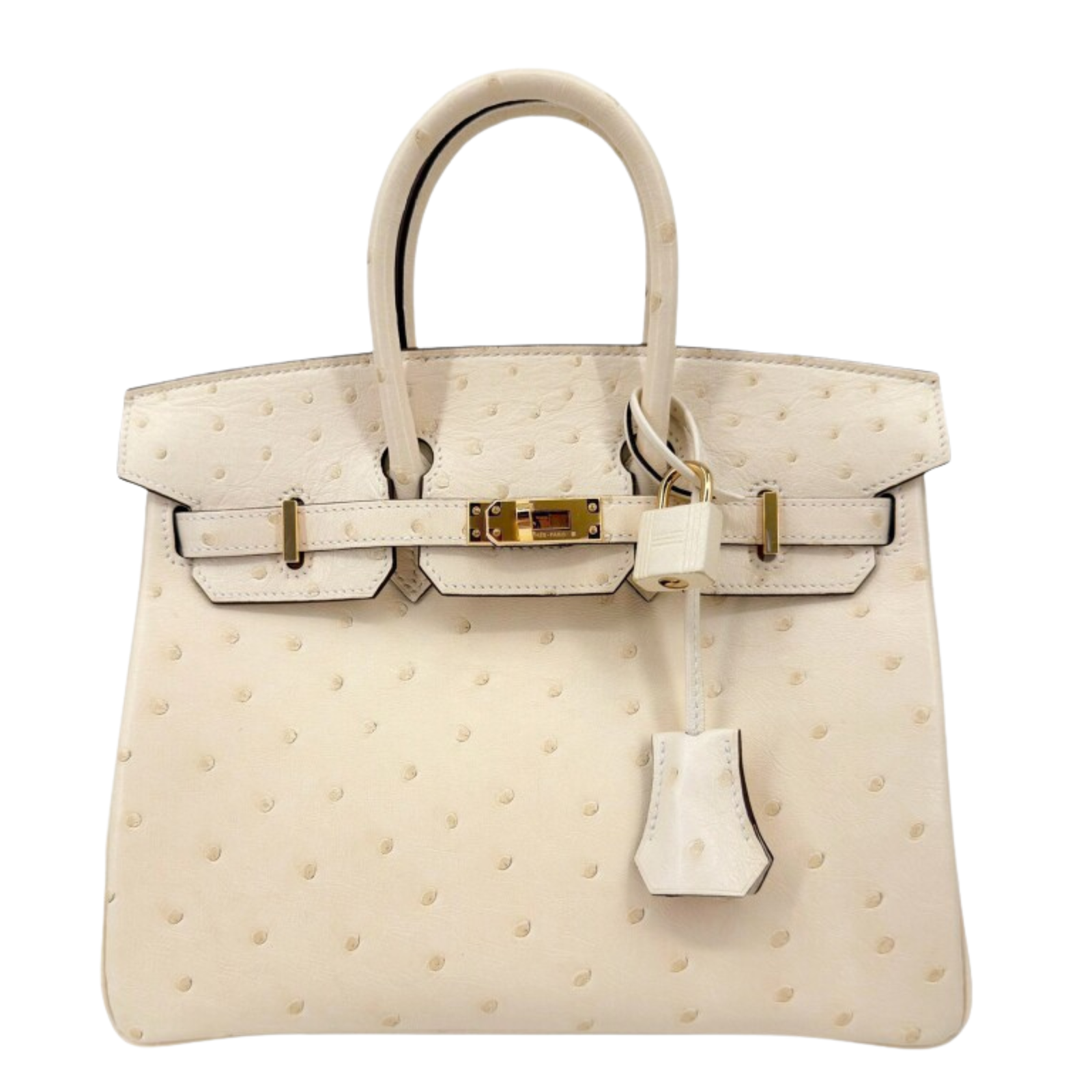 Hermès Birkin 25 Nata Ostrich Gold Hardware