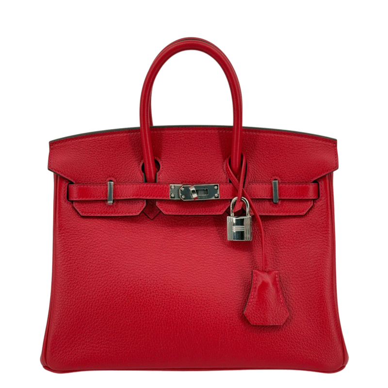 Hermès Birkin 25